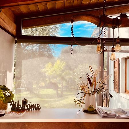 Agritur Fiore D'Ulivo Рива-дель-Гарда Экстерьер фото