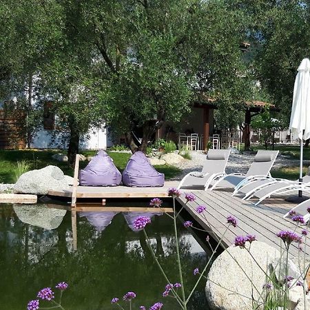Agritur Fiore D'Ulivo Рива-дель-Гарда Экстерьер фото