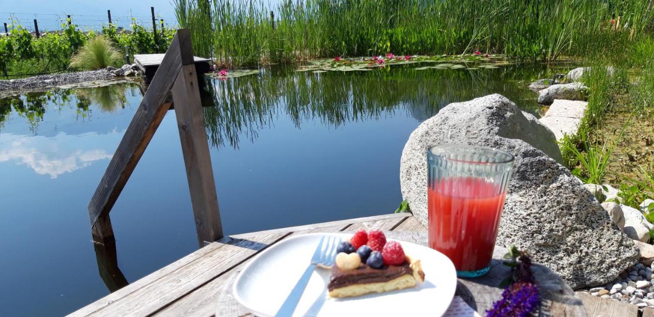 Agritur Fiore D'Ulivo Рива-дель-Гарда Экстерьер фото