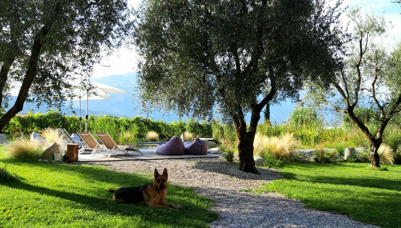 Agritur Fiore D'Ulivo Рива-дель-Гарда Экстерьер фото