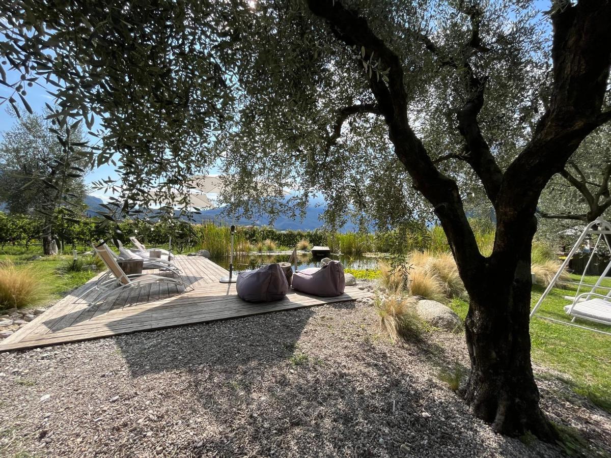 Agritur Fiore D'Ulivo Рива-дель-Гарда Экстерьер фото