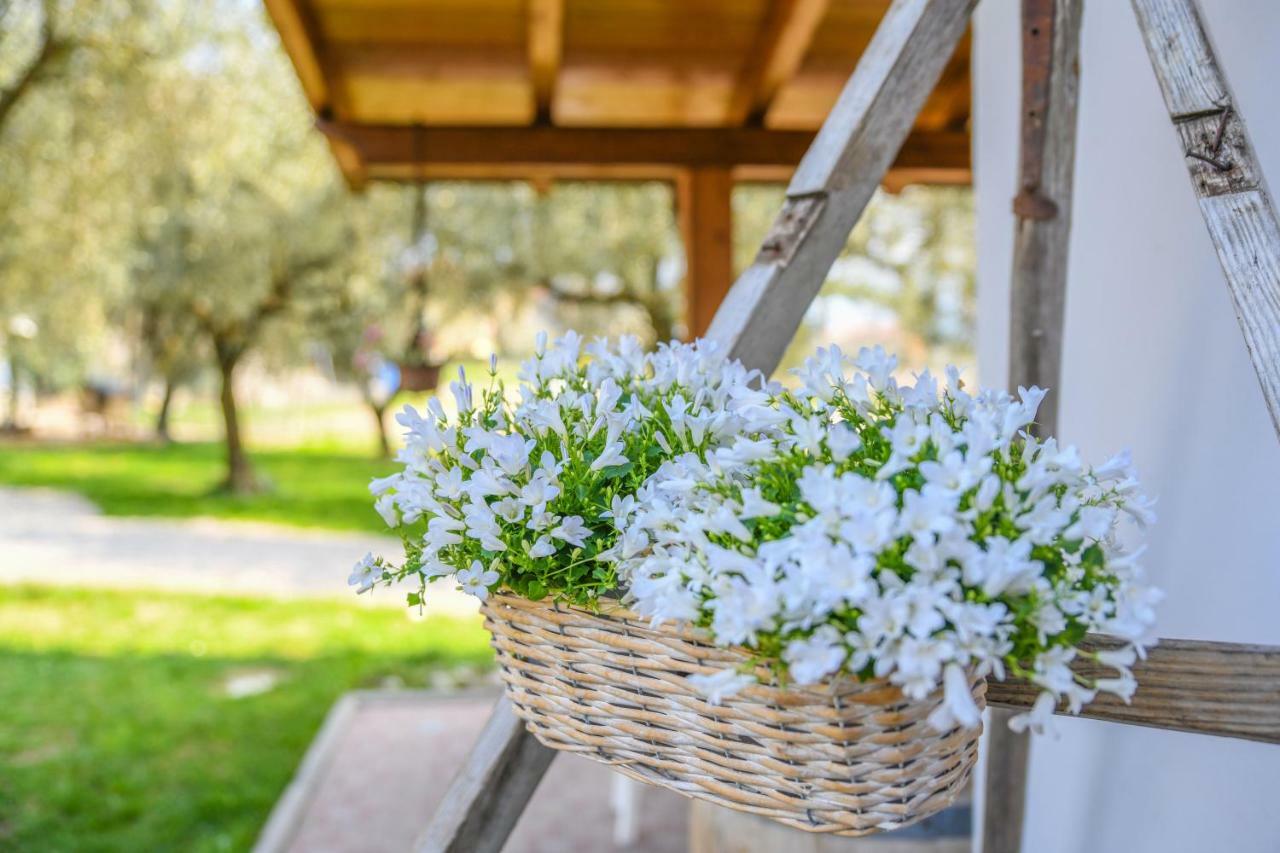 Agritur Fiore D'Ulivo Рива-дель-Гарда Экстерьер фото