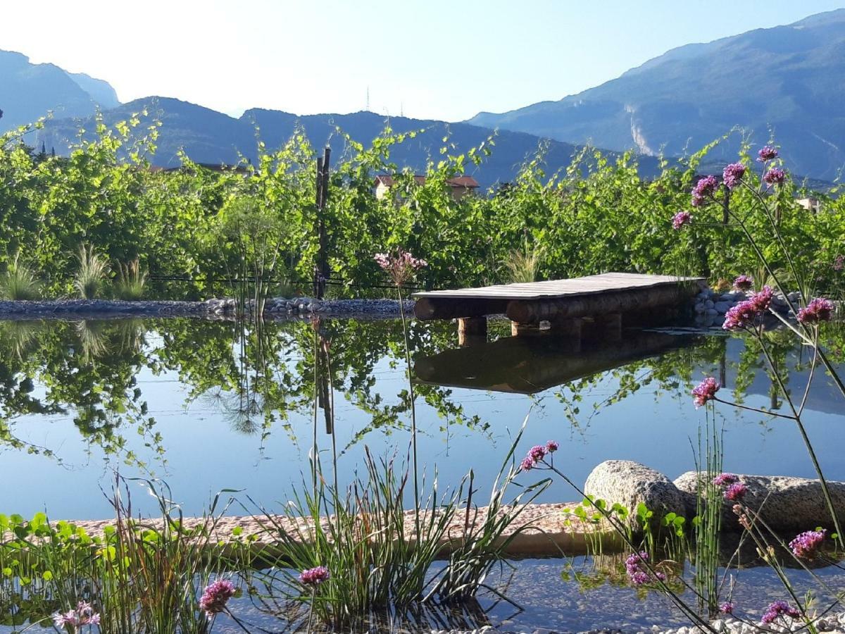 Agritur Fiore D'Ulivo Рива-дель-Гарда Экстерьер фото